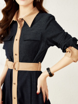 Long sleeve skirt spring and autumn 2021 new high grade sense Klein blue chic art students dress design sense