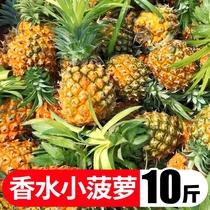 Yunnan perfume pineapple sweet crisp season fresh fruit small pineapple pineapple gold diamond 1308033-FDEF