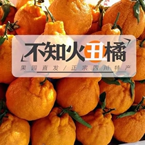 10kg Sichuan Shiranui Ugly Orange Ugly Ugly Citrus Orange Season Fresh Pregnant Fruit
