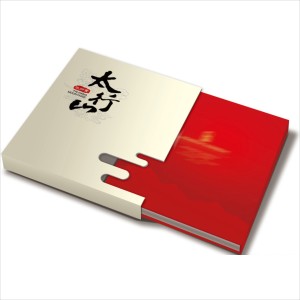 画册印刷企业宣传册印制设计制作公司员工图书手册定制产品图册