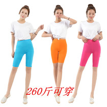 Summer paragraph woman gats up more Modale candy color 50% beats bottom pants chubby mm200 catty high waist display slim large size