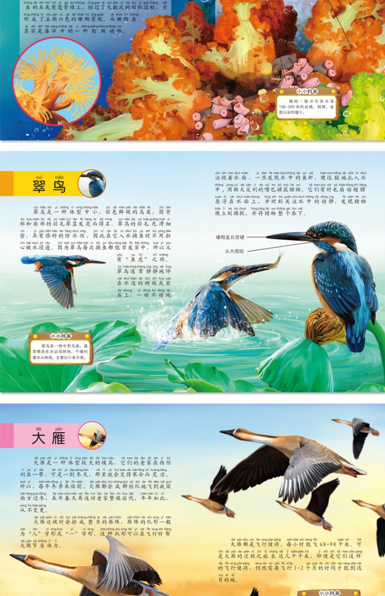 10本 动物小百科儿童故事书3-6-12岁 儿童科普书籍绘本 幼儿园宝宝