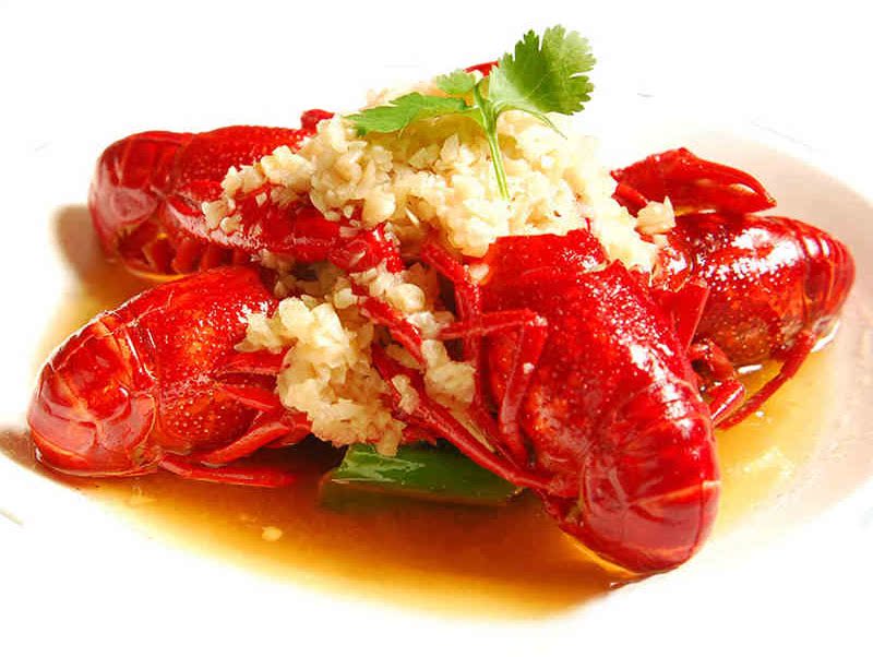 孕妈课堂:怀孕期间孕妇可以吃龙虾吗? - 天猫精