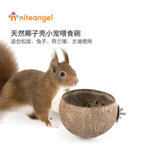Niteangel Ait Squirrel Rabbit Dutch pig feeder Fixed bird feeding basin Coconut shell supplies