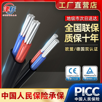 National standard 2-core aluminum wire household 6 10 16 square 25 cable aluminum core double two-core outdoor sheath wire
