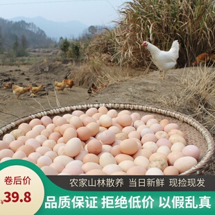 vegetable farmer 40 pieces of soil eggs, farmers -range fresh raw eggs, stupid eggs, firewood eggs, grass eggs are now available