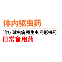 Squirrel Rabbit Dragon Cat Guinea Pigs In Vivo Insect Repellent Treatment Cocciasis Toxoplasmosis Parasite Toxoplasmosis Medicinal Products