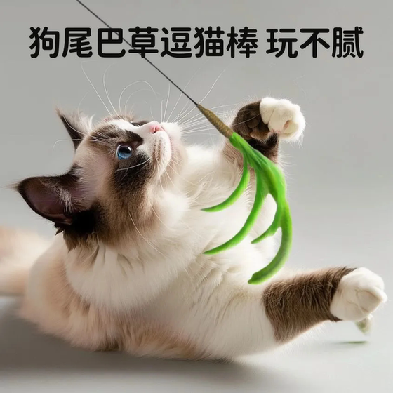 Cat toy, dog tail, feathers teasing cat stick, grabbing, biting, self -relief, handheld long rod kittens teasing cat artifact Cat toy, dog tail, feathers teasing cat stick, grabbing, biting, self -relief, handheld long rod kittens teasing cat artifact
