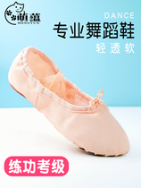 Children Dance Shoes Soft-bottom Exercises Shoes Girls Ballet Shoes Toddlers Dancing Shoes Chinese Dancer Boy Cat Paw Shoes