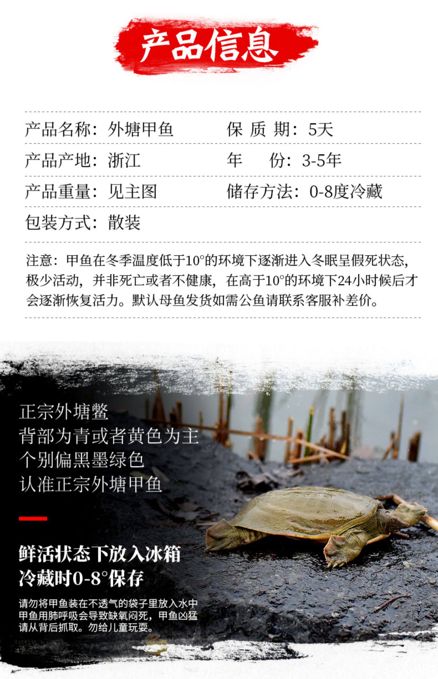 1.8斤生态外塘野养鲜活大甲鱼