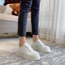 2022 Chunqiu Mona Tongan Shoe Net Red AHigo Lace Small White Shoes Woman Round Head Pine Pastry Thick bottom Shoe Tide