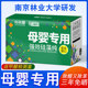 Activated carbon silica algae pure bamboo charcoal bag new house to formhadehyde eliminate brandendin except odor home car mother and baby Activated carbon silica algae pure bamboo charcoal bag new house to formhadehyde eliminate brandendin except odor home car mother and baby