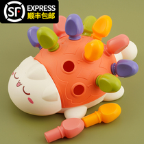Baby puzzle hand Fine concentration training pull toy hedgehog children early education assembly building blocks 1 a 3 years old and a half