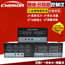 Dual-loop display instrument Four-loop eight-loop intelligent universal indexing number 4-20mA output digital regulator