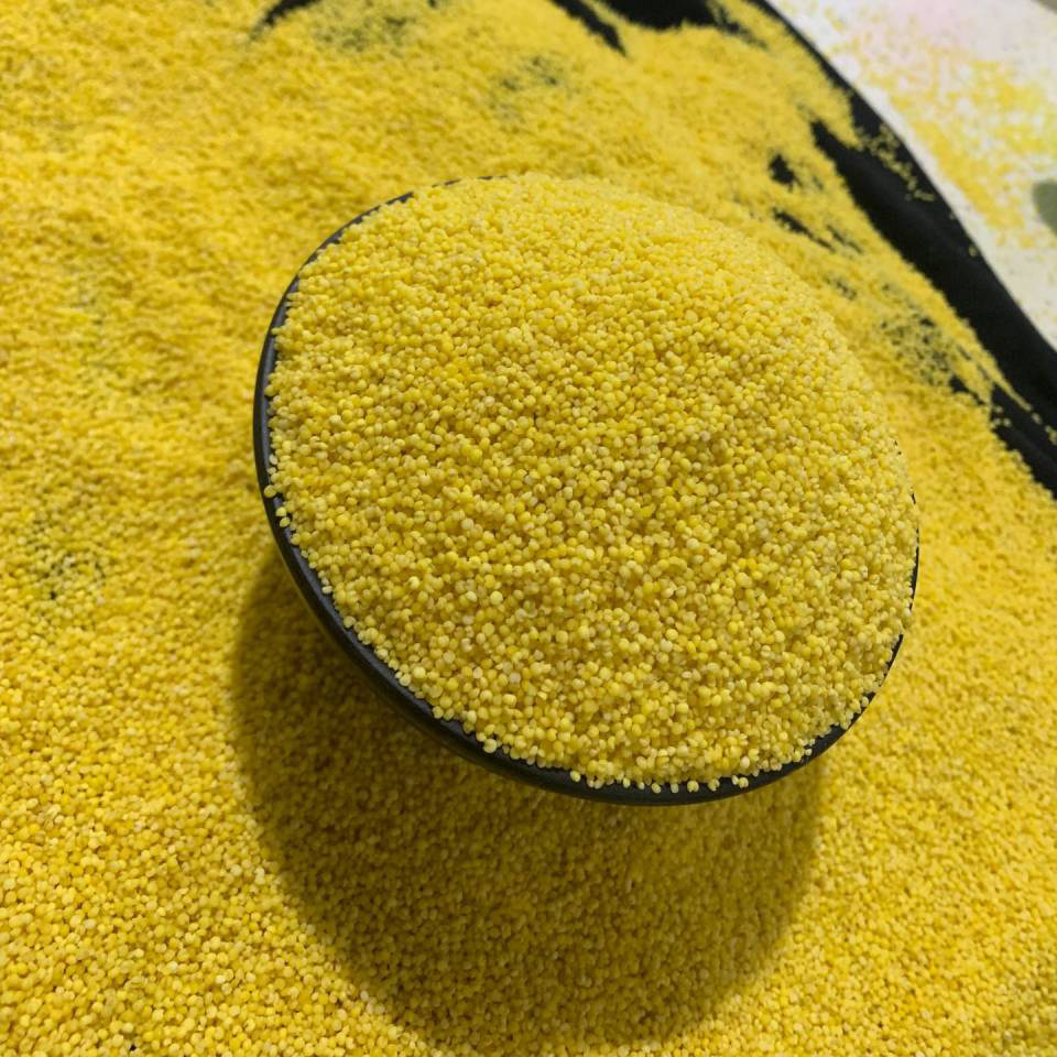 辽宁朱碌科镇红谷米黄金苗k1朝阳杂粮新小米10斤装黄小米小米粥