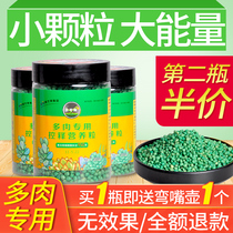 Becquerels of meat Special controlled-release fertilizer slow-release compound fertilizer control-type color promote growth fertilizers long-term fertilizer