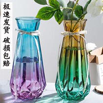 Silver willow special vase special large number glass vase transparent water raising rich and expensive bamboo lily transfer vase living room flower arrangement