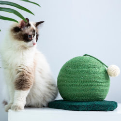 Cactus cat scratching board, spherical cat climbing frame, claw grinder, cat scratching post, cat scratching hemp rope, scratching itching, wear-resistant cat play n.