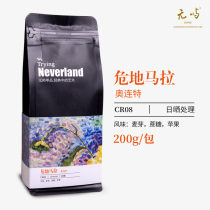 No Island coffee Guatemala Oliante Sun processing boutique coffee beans hand-washed single medium roast 200g