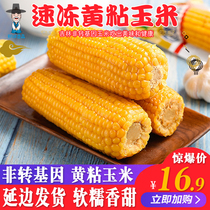 Northeast corn non-GMO 4 roots in total 900 gr bud rice sweet glutinous corn frozen yellow corn stick sticky corn