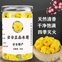 Wuzhi County Chrysanthemum Flowers Tea Holder Iced Chrysanthemum Official Flagship Store Henan Jiaozuo Guan Guan Chrysanthemum Flowers