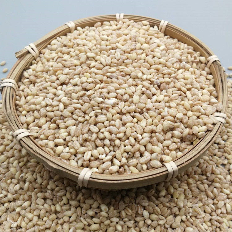 麦仁小麦去皮小麦仁 小麦粒河南农家脱皮麦仁米杂粮粥用新小麦5斤