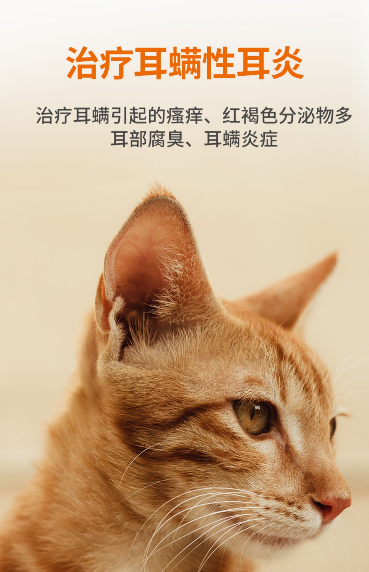 普安特洗耳液宠物滴耳液猫咪耳螨专用药狗狗耳朵清洁中耳炎渡尔舒