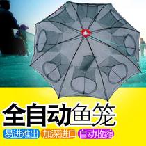 Folded shrimp mesh fishing cage only cant get out of yellow eel lobster mesh cage Shrimp Coop Basket Fish Nets Fishing Nets Catch Paracetamol