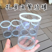 Guppy breeding box Fish tank isolation net production tank production box Female fish production small fish separation delivery room large hatching net