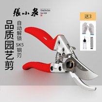 Zhang Xiaoquan gardening scissors sk5 fruit tree branch pruning scissors Garden bonsai green pruning tool scissors