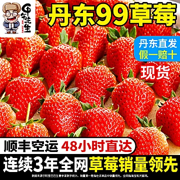 【首单】新鲜丹东草莓1000g[30元优惠券]-寻折猪