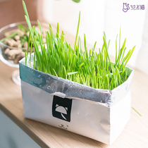 Clearance dump unka VETRESKA soilless cat grass catnip hairball cat cat net red cat grass cat snacks