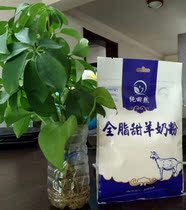 Pure Tian Ran full-fat sweet goat milk powder for pregnant women and children without adding