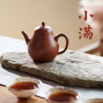 Pleasantong asks for tea small full teapot autumn water lake Qing Dynasty old pot reengraving