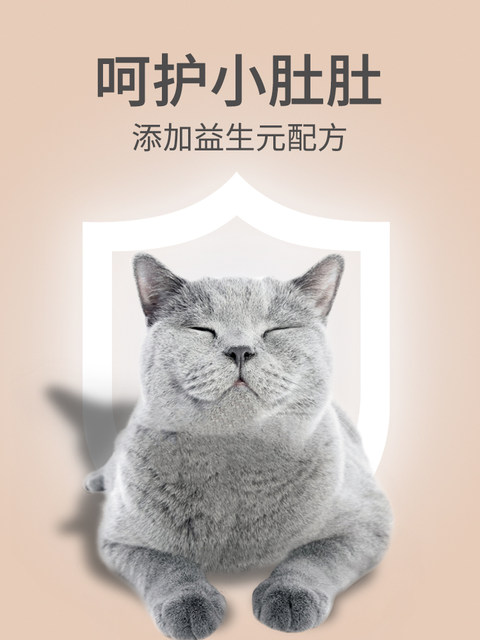Enqi cat canned fish white meat wet food package large pure meat grain-free fattening hair cheek cat snack can 80g * 6 cans Enqi cat canned fish white meat wet food package large pure meat grain-free fattening hair cheek cat snack can 80g * 6 cans