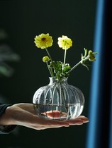 Retro relief Japanese creative miniature glass small flower high-end creative red water cultivated flower plug mini decoration