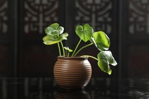 Retro Creative HandsFlower Pot Thread Plantation Culture Creativity Simplified Household Office Flower Fittings