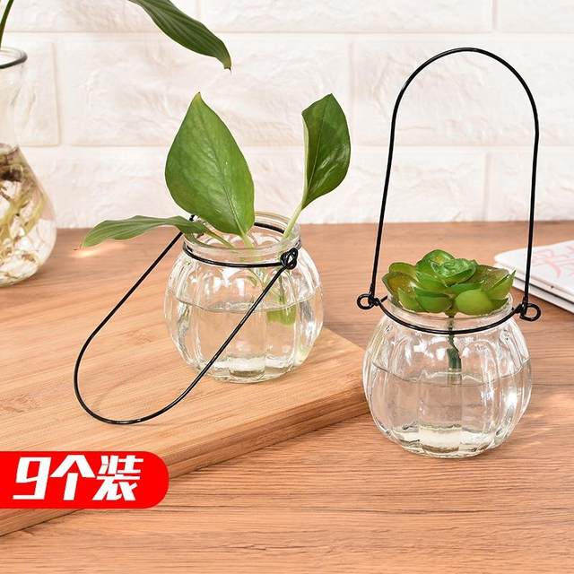 9 installed hanging transparent glass vase small bottle of pumpkin simple hydroponics indoor gardening pots home decoration 9 installed hanging transparent glass vase small bottle of pumpkin simple hydroponics indoor gardening pots home decoration