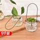 9 installed hanging transparent glass vase small bottle of pumpkin simple hydroponics indoor gardening pots home decoration 9 installed hanging transparent glass vase small bottle of pumpkin simple hydroponics indoor gardening pots home decoration