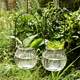 9 installed hanging transparent glass vase small bottle of pumpkin simple hydroponics indoor gardening pots home decoration 9 installed hanging transparent glass vase small bottle of pumpkin simple hydroponics indoor gardening pots home decoration