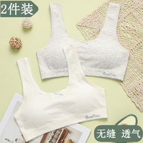 Girl underwear development student small vest junior high school student cotton adolescent children girl bra