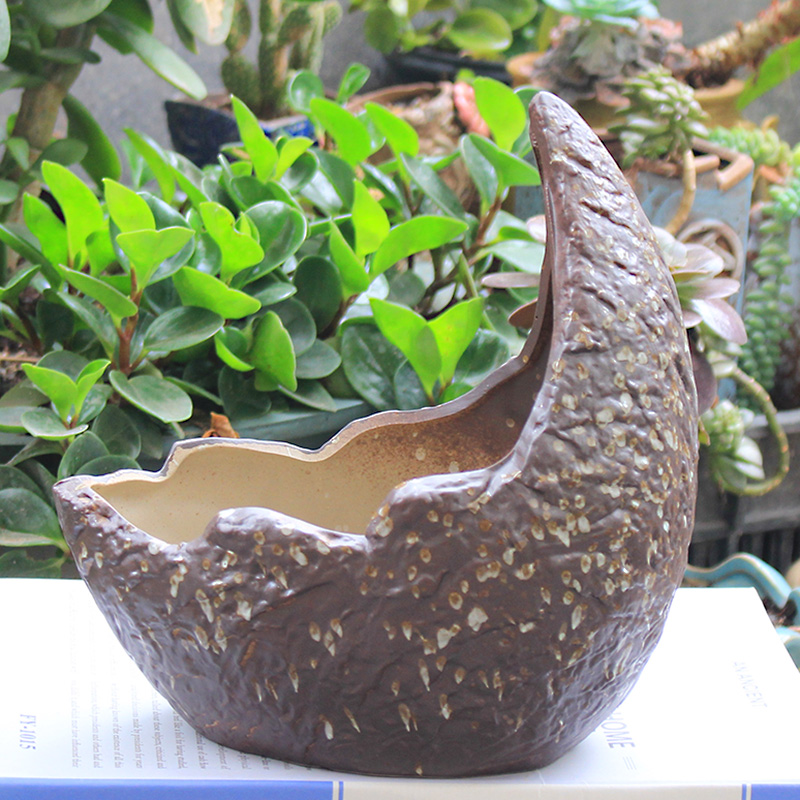 Creative fleshy pot move basin large Gao Jian about meat meat the plants green plant POTS coarse pottery basin of breathable specials