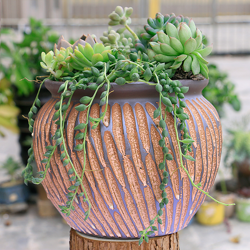 Old coarse pottery flowerpot ceramics violet arenaceous mud rock, fleshy creative Old running the meat meat plant basin POTS restoring ancient ways a clearance sale