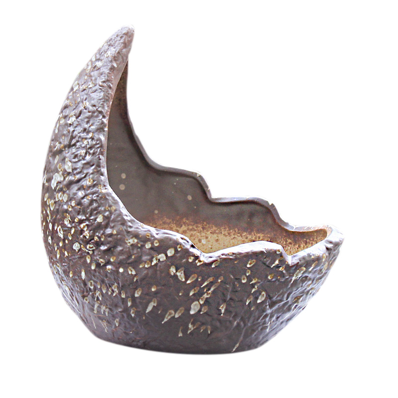Creative fleshy pot move basin large Gao Jian about meat meat the plants green plant POTS coarse pottery basin of breathable specials