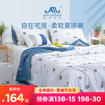 Air-conditioned summer quilt thin summer quilt cotton spring and autumn quilt core summer student single and double machine washable bedding