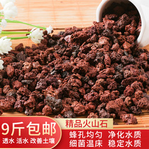 Volcanic stone particles natural fish tank bottom fleshy orchid paving mixed soil potted plant special landscaping Large volcanic rock