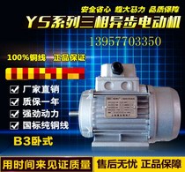 Copper wire national standard Dedong three-phase asynchronous motor YS8022 380V 1 1KW speed 2800r min
