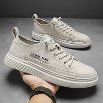 Small White Shoes Casual 100 Hitch 2022 Spring New Trend Light Men Shoes Deodorant Men Breathable Low-Help Flat Shoes