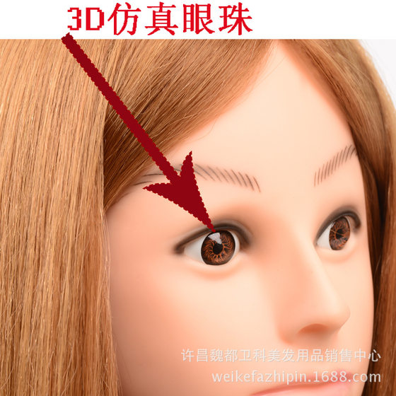 어깨, 머리 꼰 및 스타일링, 완전한 실제 헤어 메이크업 운동, 파마 머리 모델 모델이있는 가짜 머리 곰팡이 어깨, 머리 꼰 및 스타일링, 완전한 실제 헤어 메이크업 운동, 파마 머리 모델 모델이있는 가짜 머리 곰팡이