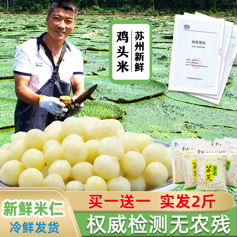 发2斤胥王鸡头米新鲜2021苏州q弹正宗冰冻苏欠芡实非手剥2020